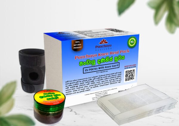 Panchayu Knee Healer - 1 Month Pack